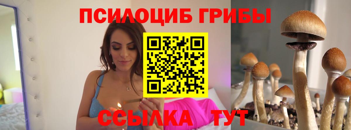 Галлюциногенные грибы Psilocybine cubensis Тобольск